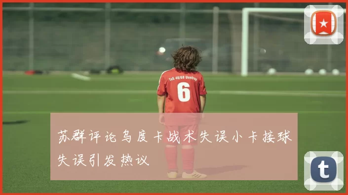苏群评论乌度卡战术失误小卡接球失误引发热议