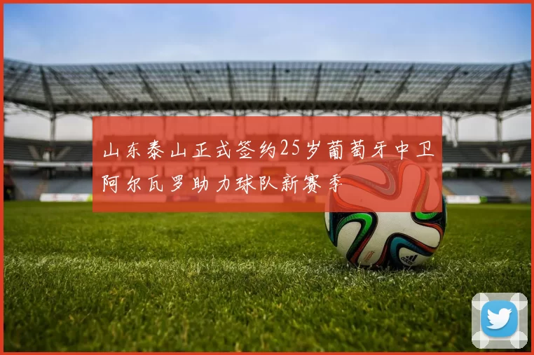 山东泰山正式签约25岁葡萄牙中卫阿尔瓦罗助力球队新赛季