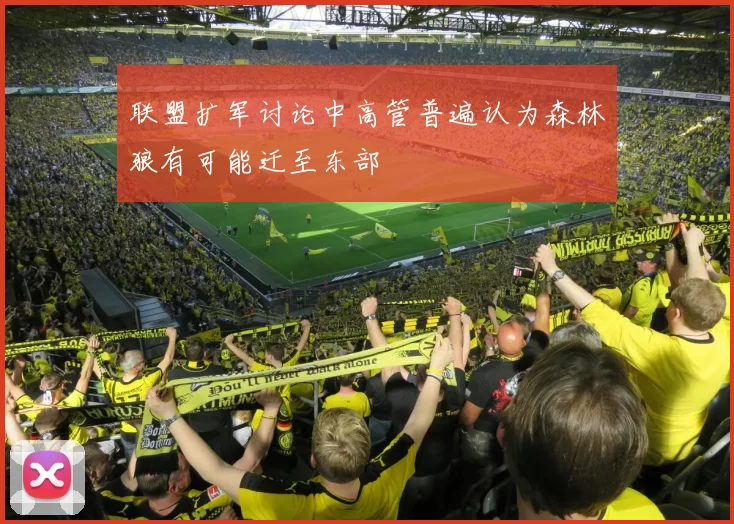 联盟扩军讨论中高管普遍认为森林狼有可能迁至东部