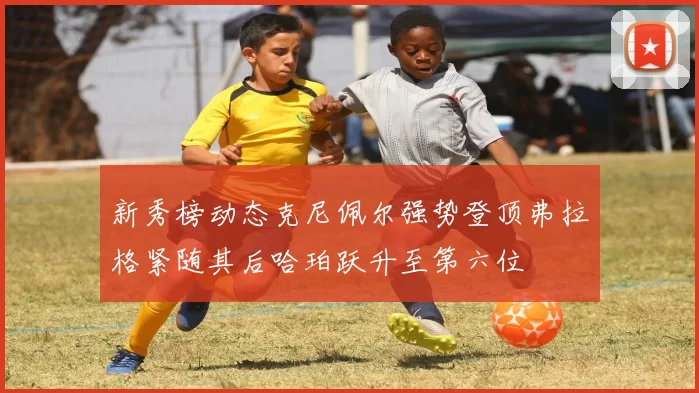新秀榜动态克尼佩尔强势登顶弗拉格紧随其后哈珀跃升至第六位