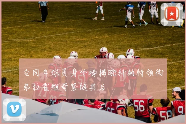 合同年球员身价榜揭晓科纳特领衔弗拉霍维奇紧随其后