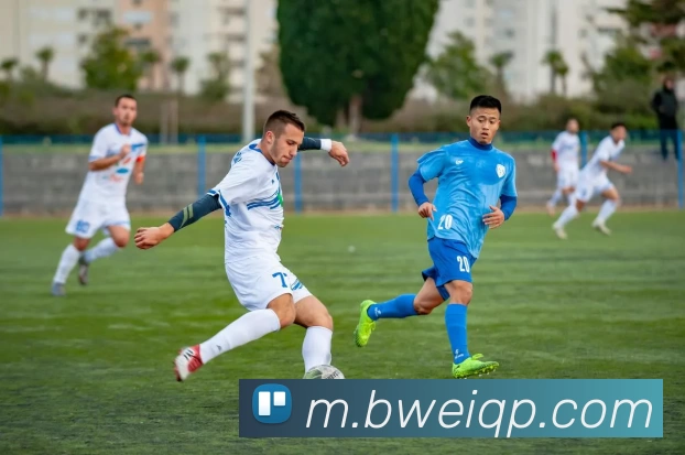 必威棋牌平台生态图