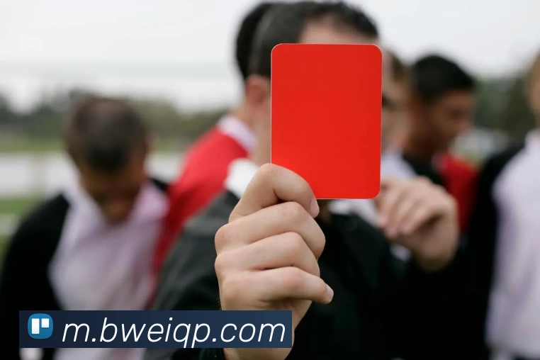 必威棋牌APP 封面图